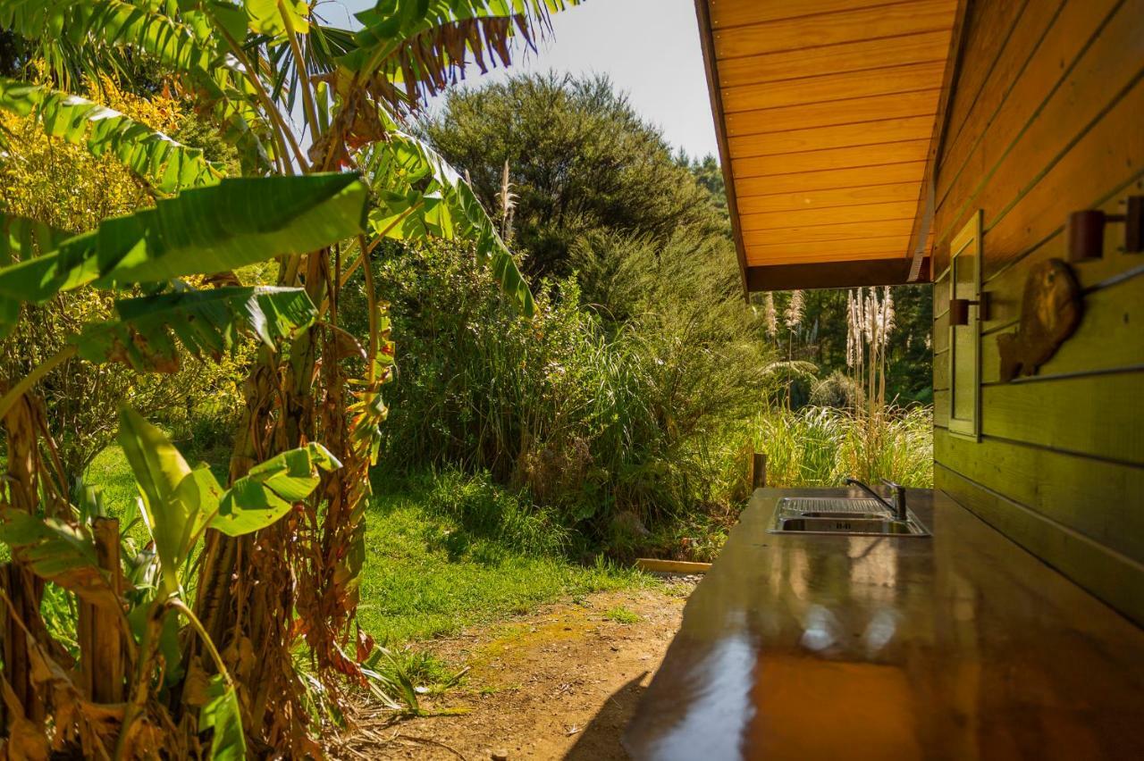 Kuaotunu Chalets Bagian luar foto